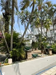 Holland Grove (D10), Semi-Detached #540892151